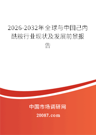 2026-2032年全球与中国己内酰胺行业现状及发展前景报告