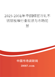 2025-2031年中国精密冷轧不锈钢板带行业现状与市场前景