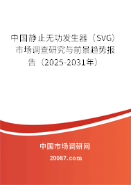 中国静止无功发生器（SVG）市场调查研究与前景趋势报告（2025-2031年）