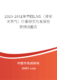 2025-2031年中国LNG(液化天然气)行业研究与发展前景预测报告 2025-2031年中国LNG(液化天然气)行业研究与发展前景预测报告