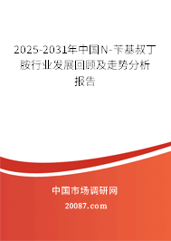 2025-2031年中国N-苄基叔丁胺行业发展回顾及走势分析报告