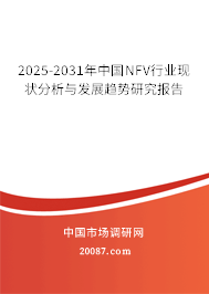 2025-2031年中国NFV行业现状分析与发展趋势研究报告 2025-2031年中国NFV行业现状分析与发展趋势研究报告