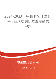 2023-2029年中国其它乐器配件行业现状调研及发展趋势报告 2023-2029年中国其它乐器配件行业现状调研及发展趋势报告