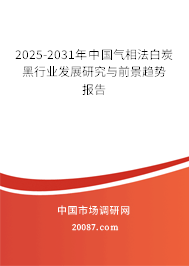 2025-2031年中国气相法白炭黑行业发展研究与前景趋势报告