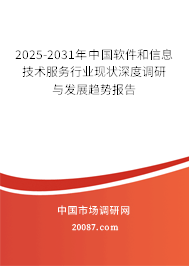 2025-2031年中国软件和信息技术服务行业现状深度调研与发展趋势报告