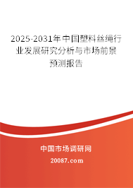 2025-2031年中国塑料丝绳行业发展研究分析与市场前景预测报告