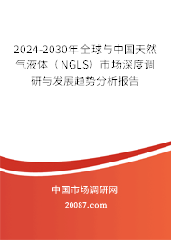 2024-2030年全球与中国天然气液体(NGLS)市场深度调研与发展趋势分析报告 2024-2030年全球与中国天然气液体(NGLS)市场深度调研与发展趋势分析报告
