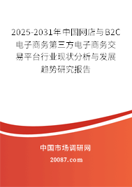 2025-2031年中国网店与B2C电子商务第三方电子商务交易平台行业现状分析与发展趋势研究报告