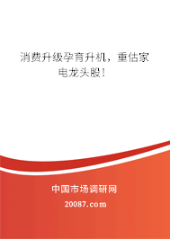 消费升级孕育升机，重估家电龙头股！