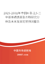 2025-2031年中国4-氯-2,5-二甲基苯磺酰基氯市场研究分析及未来发展前景预测报告