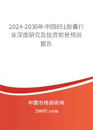 2023-2029年中国851胶囊行业深度研究及投资前景预测报告 2023-2029年中国851胶囊行业深度研究及投资前景预测报告
