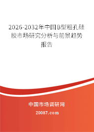 2026-2032年中国B型粗孔硅胶市场研究分析与前景趋势报告 2026-2032年中国B型粗孔硅胶市场研究分析与前景趋势报告