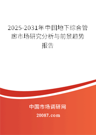 2025-2031年中国地下综合管廊市场研究分析与前景趋势报告