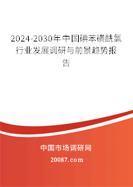 2024-2030年中国碘苯磺酰氯行业发展调研与前景趋势报告 2024-2030年中国碘苯磺酰氯行业发展调研与前景趋势报告