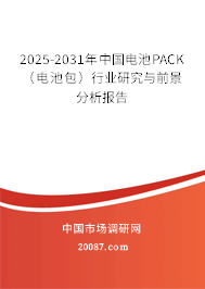 2025-2031年中国电池PACK（电池包）行业研究与前景分析报告