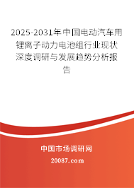 2025-2031年中国电动汽车用锂离子动力电池组行业现状深度调研与发展趋势分析报告