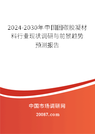 2024-2030年中国固碳胶凝材料行业现状调研与前景趋势预测报告 2024-2030年中国固碳胶凝材料行业现状调研与前景趋势预测报告