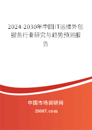 2024-2030年中国IT运维外包服务行业研究与趋势预测报告