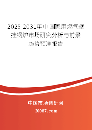 2025-2031年中国家用燃气壁挂锅炉市场研究分析与前景趋势预测报告