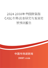 2024-2030年中国聚氨酯CASE市场调查研究与发展前景预测报告