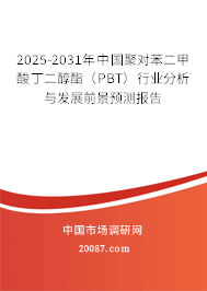 2025-2031年中国聚对苯二甲酸丁二醇酯（PBT）行业分析与发展前景预测报告