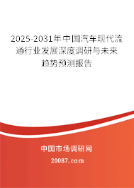 2025-2031年中国汽车现代流通行业发展深度调研与未来趋势预测报告