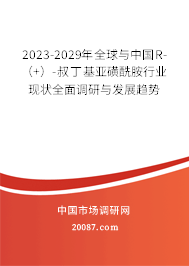 2023-2029年全球与中国R-(+)-叔丁基亚磺酰胺行业现状全面调研与发展趋势 2023-2029年全球与中国R-(+)-叔丁基亚磺酰胺行业现状全面调研与发展趋势