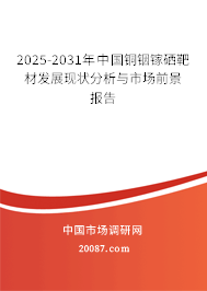 2025-2031年中国铜铟镓硒靶材发展现状分析与市场前景报告 2025-2031年中国铜铟镓硒靶材发展现状分析与市场前景报告