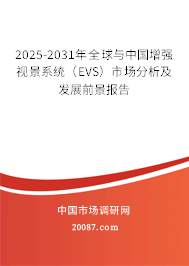 2025-2031年全球与中国增强视景系统（EVS）市场分析及发展前景报告