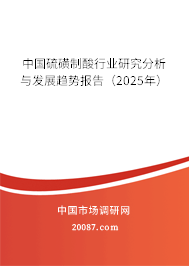 中国硫磺制酸行业研究分析与发展趋势报告（2025年）