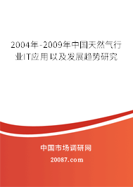 2004年-2009年中国天然气行业IT应用以及发展趋势研究
