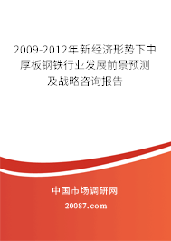 2009-2012年新经济形势下中厚板钢铁行业发展前景预测及战略咨询报告