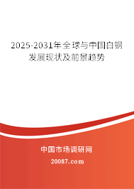 2025-2031年全球与中国白钢发展现状及前景趋势