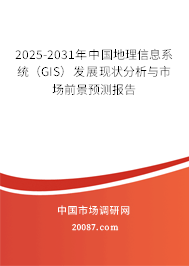 2025-2031年中国地理信息系统（GIS）发展现状分析与市场前景预测报告