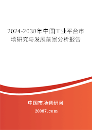 2024-2030年中国工业平台市场研究与发展前景分析报告