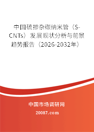 中国硫掺杂碳纳米管(S-CNTs)发展现状分析与前景趋势报告(2026-2032年) 中国硫掺杂碳纳米管(S-CNTs)发展现状分析与前景趋势报告(2026-2032年)