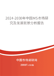 2023-2029йMSгоչǰ