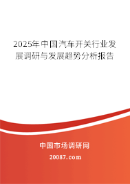 2025年中国汽车开关行业发展调研与发展趋势分析报告 2025年中国汽车开关行业发展调研与发展趋势分析报告