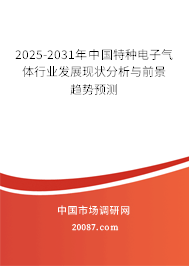 2025-2031年中国特种电子气体行业发展现状分析与前景趋势预测