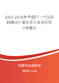 2025-2031年中国下一代互联网建设行业现状与发展前景分析报告 2025-2031年中国下一代互联网建设行业现状与发展前景分析报告