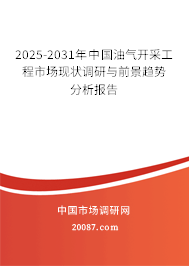 2025-2031年中国油气开采工程市场现状调研与前景趋势分析报告 2025-2031年中国油气开采工程市场现状调研与前景趋势分析报告