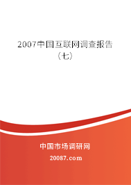 2007中国互联网调查报告（七）