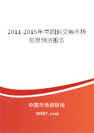 2011-2015年中国斜交胎市场前景预测报告 2011-2015年中国斜交胎市场前景预测报告