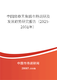 中国肩章三角臂市场调研及发展趋势研究报告（2025-2031年）