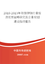 2010-2013年硅酸钾钠行业投资前景战略研究及企业规划建设指导报告 2010-2013年硅酸钾钠行业投资前景战略研究及企业规划建设指导报告