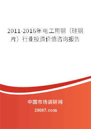 2011-2016年电工用钢(硅钢片)行业投资价值咨询报告 2011-2016年电工用钢(硅钢片)行业投资价值咨询报告