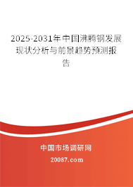 2025-2031年中国沸腾钢发展现状分析与前景趋势预测报告