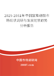 2025-2031年中国富集硼酸市场现状调研与发展前景趋势分析报告