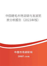 �й���ë�г������뷢չǰ���������棨2023��棩