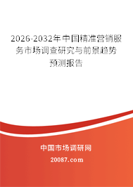 2026-2032年中国精准营销服务市场调查研究与前景趋势预测报告